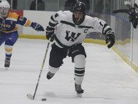 Donohue tallies pair as Wolverines tie Mustangs
