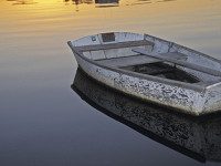 Nancy Rich floods library with ‘Afloat’