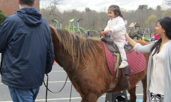 Needham celebrates Pansy Day