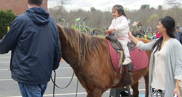 Needham celebrates Pansy Day