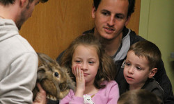 Curious Creatures invade Dover Library