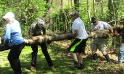 Community cleans up Haslam Pond