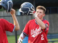 Donato’s gem lifts Walpole Legion