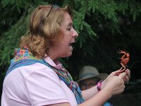 Caterpillar Club teaches kids about bugs