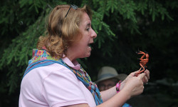 Caterpillar Club teaches kids about bugs