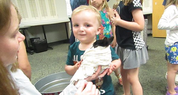 Medfielders meet baby animals at library
