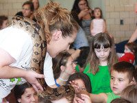 Curious Creatures visit School