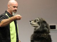 Greg and Axel Show dazzles kids