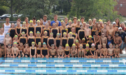 Historic summer for Needham Sharks