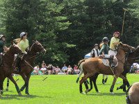 Polo pulls in big crowds