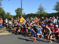 Fun for all at Westwood Day