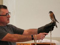 Sherborn forest improvements