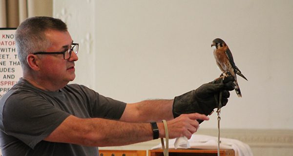 Sherborn forest improvements