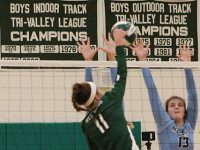 Wolverines please packed bleachers of fans