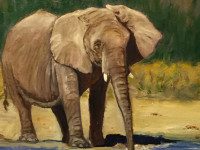 Two Dwight-Derby House artists exhibiting