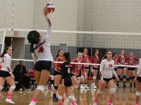 Wellesley volleyball takes on Milton