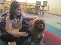 Cody and Neely visit the library