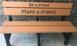 Kindness Ambassadors earn Bronze Awards