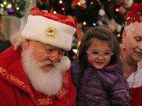 Festival of Trees heralds holiday season