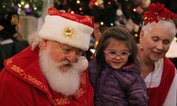 Festival of Trees heralds holiday season