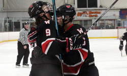 Cohen leads Raiders over Tigers