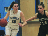 Silk, Warriors outlast Dolley, Wolverines