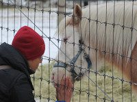 Unity Farm teaches truth about animals