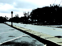 Social distance files: the grand tour