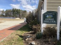 Pet rescues face COVID challenges