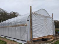 Community Farm increasing production during pandemic