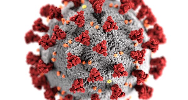 Youth baseball suspended following COVID spike