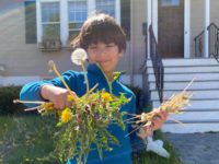 Kids’ dandelion business takes off