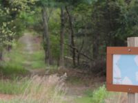 Currier Reservation: Westwood’s hidden, hidden gem