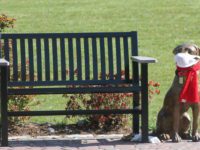 Lockdown means fishing at Buckmaster Pond
