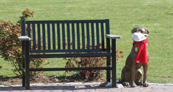 Lockdown means fishing at Buckmaster Pond