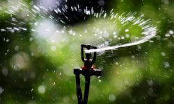 Commane explains water restriction mandate