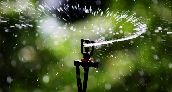 Commane explains water restriction mandate