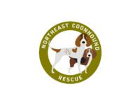 Northeast Coonhound Rescue reacts to pandemic