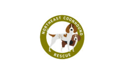 Northeast Coonhound Rescue reacts to pandemic