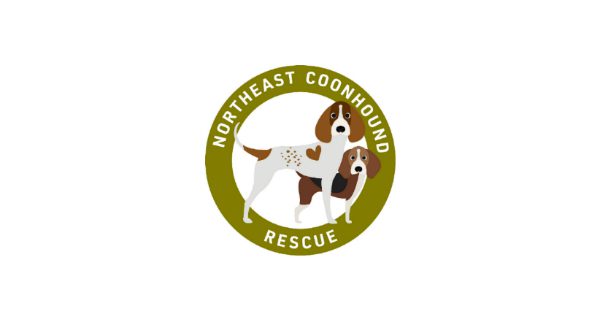 Northeast Coonhound Rescue reacts to pandemic