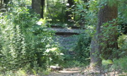 Unnamed trail causes confusion