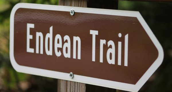 Endean Trail an apparently forgotten path