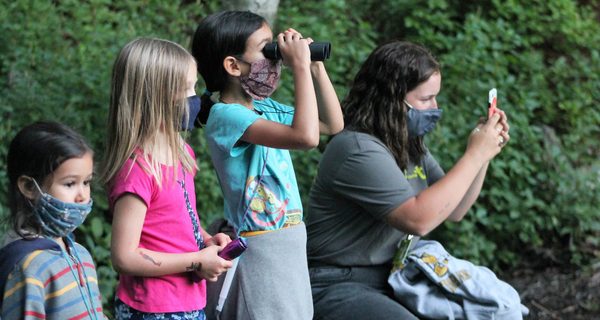 Trustees hold guided beaver-spotting hike
