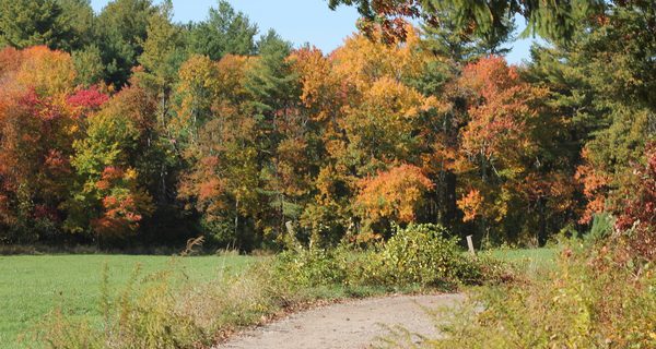 Maffei looks to reduce solar project