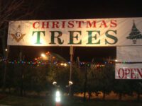 Norfolk Lodge announces Christmas tree sale