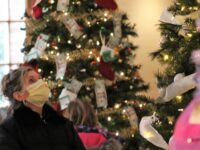 Festival of Trees adapts to pandemic