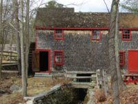 Managers: stop removing Kingsbury Pond ladders