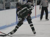 Wolverines fall just short in thriller