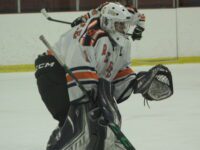 Walpole boys hockey blanks Wellesley