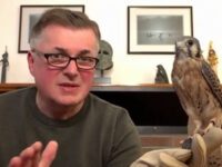 Birds of prey visit Sherborn Library